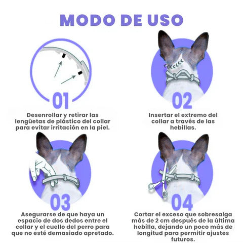 GlamGuard®🐶 Collar antipulgas y garrapatas