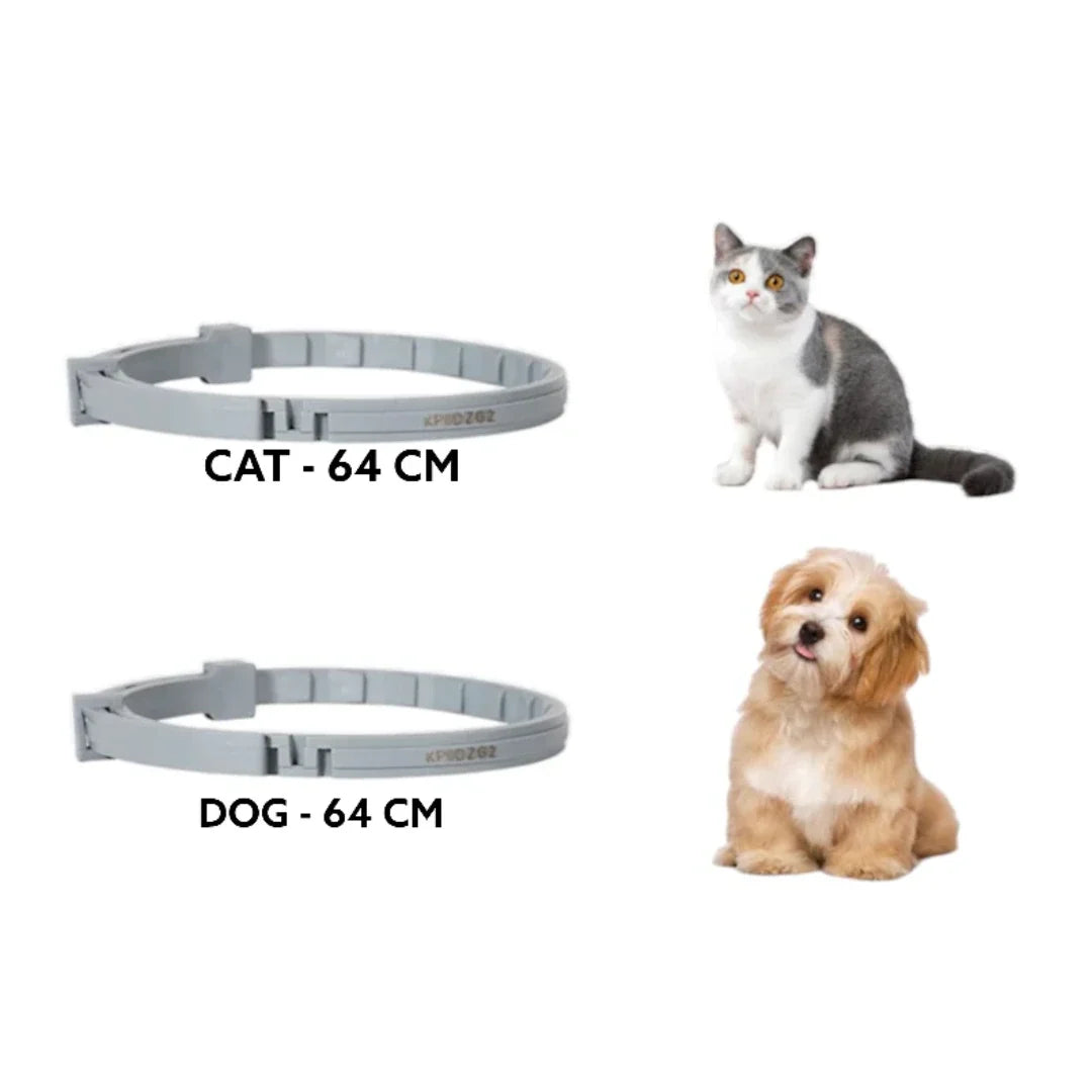 GlamGuard®🐶 Collar antipulgas y garrapatas